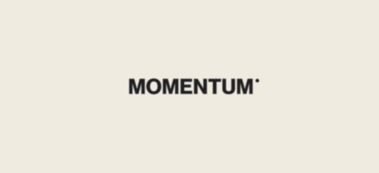 MOMENTUM FORT07 BANNERV2